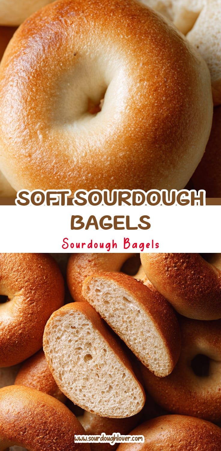 Soft Sourdough Bagels No Yeast: Easy Overnight Recipe