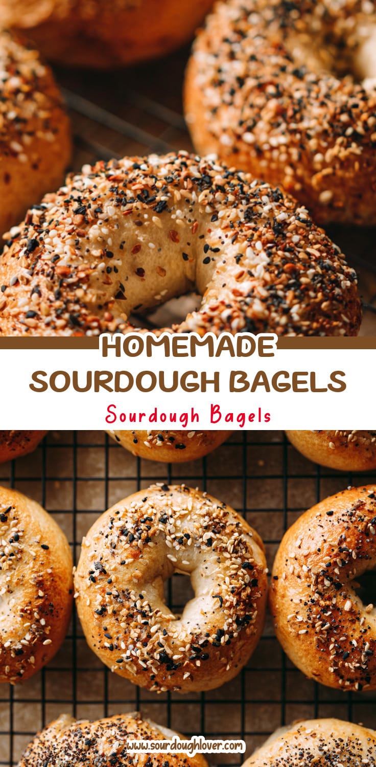 Homemade Sourdough Bagels with Everything Seasoning