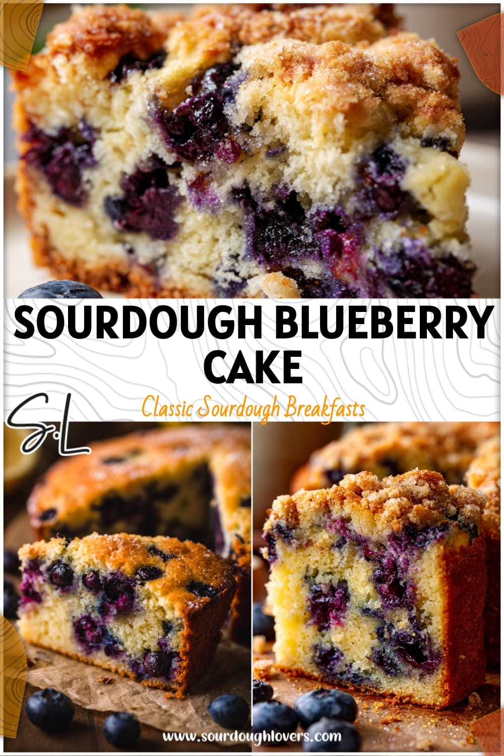 Sourdough Blueberry Breakfast Cake (Easy Discard Recipe)