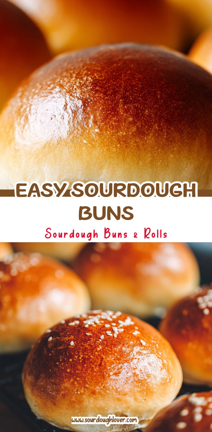 Easy Sourdough Discard Hamburger Buns (Pain Solver)