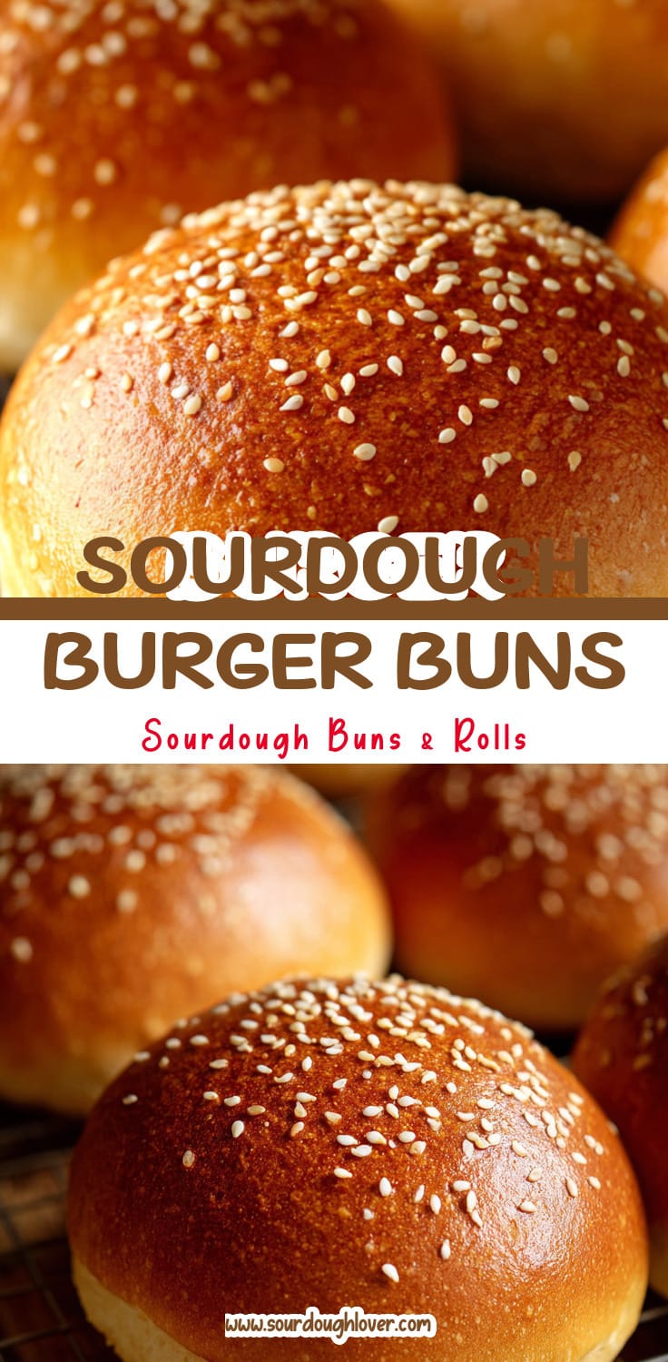 Easy Sourdough Discard Hamburger Buns Recipe 14 Easy Sourdough Discard Hamburger Buns Recipe