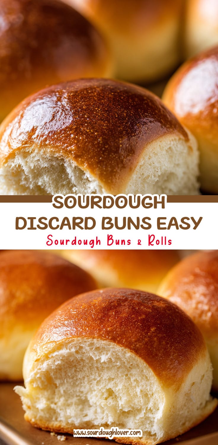 Easy Sourdough Discard Hamburger Buns Recipe 14 Easy Sourdough Discard Hamburger Buns Recipe