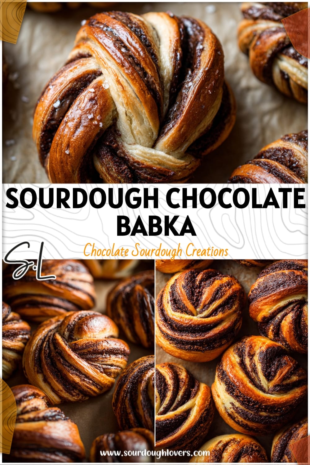 Sourdough Chocolate Babka Rolls: A Traditional Babka Loaf Recipe 14 Sourdough Chocolate Babka Rolls: A Traditional Babka Loaf Recipe