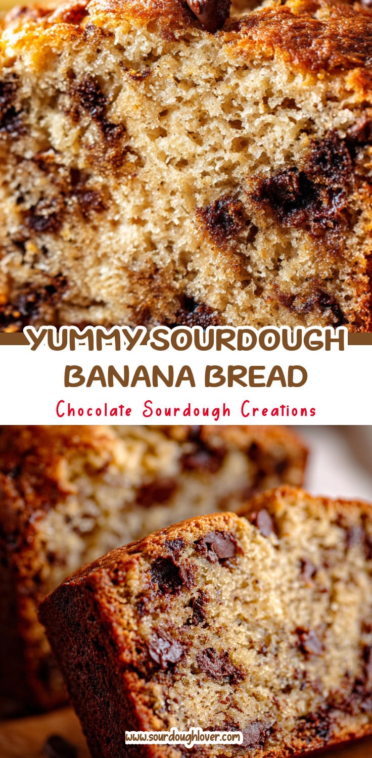 Moist Sourdough Chocolate Chip Banana Bread That's So Yummy