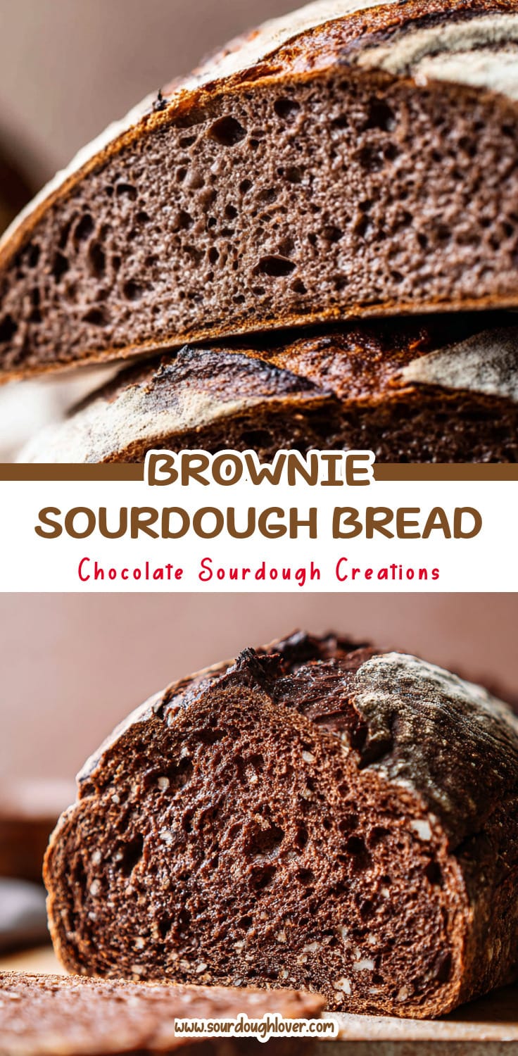 Chocolate Hazelnut Sourdough Loaf That Tastes Like a Brownie 14 Chocolate Hazelnut Sourdough Loaf That Tastes Like a Brownie