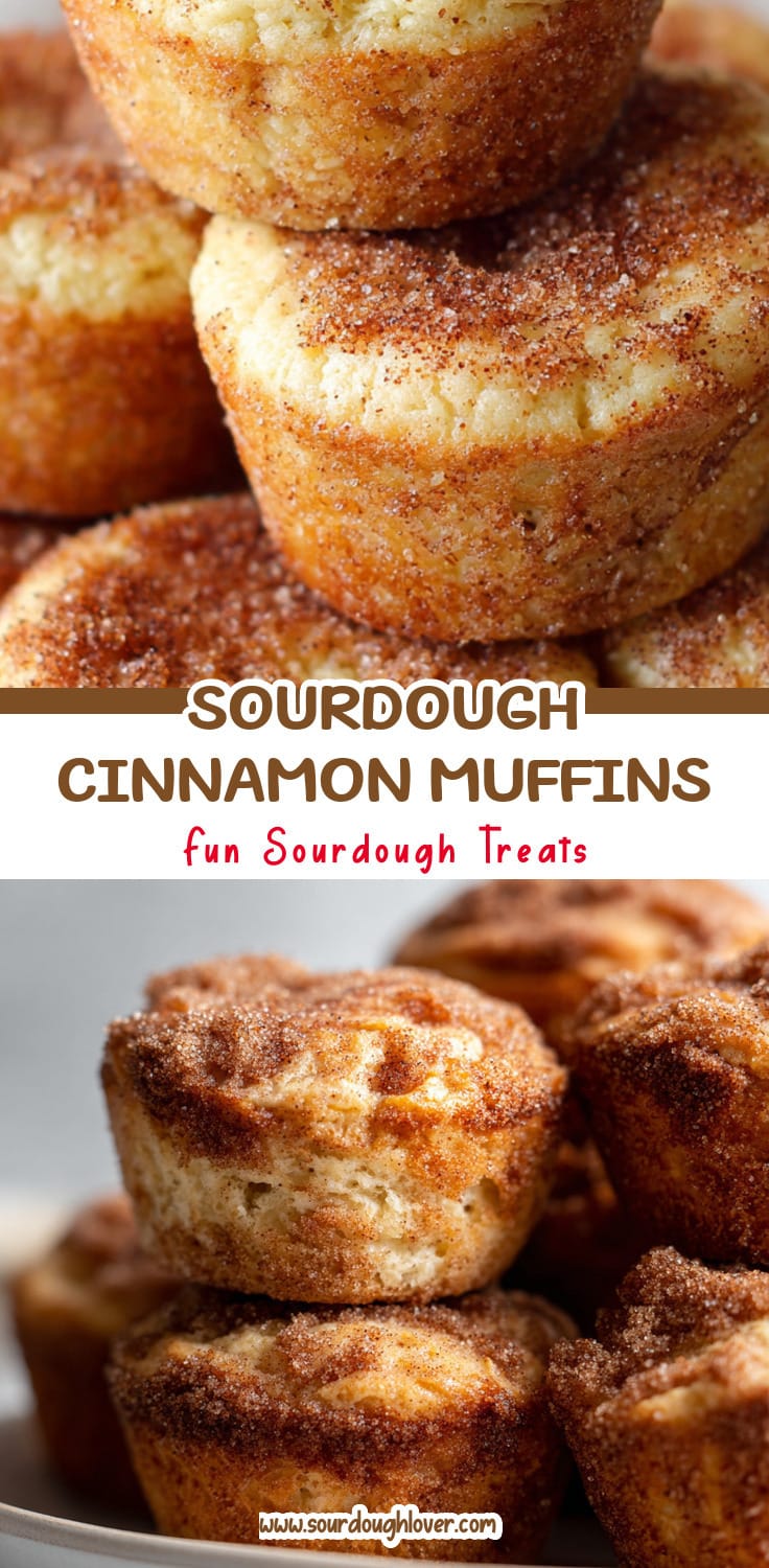 Sourdough Cinnamon Sugar Biscuit Muffins: Sweet Sourdough Baking