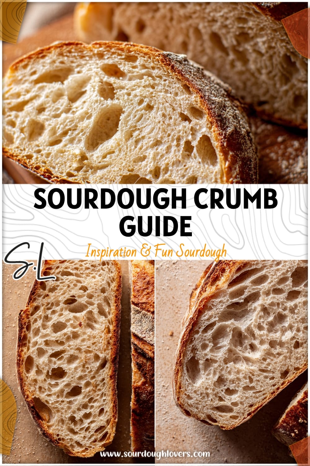 Sourdough Crumb Comparison Guide: Understand Your Bread's Consistency 14 Sourdough Crumb Comparison Guide: Understand Your Bread's Consistency