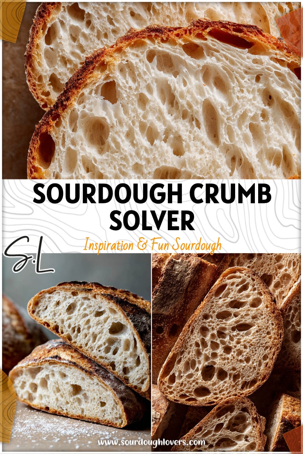 Sourdough Crumb Texture Comparison (Pain Solver)