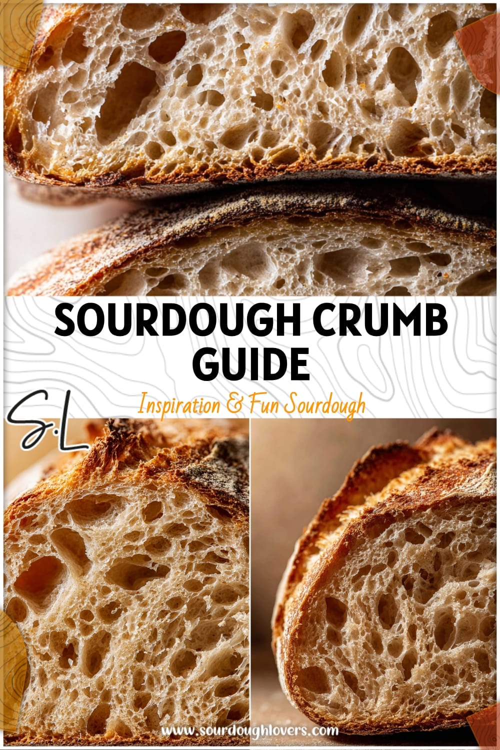 Sourdough Crumb Guide: Understand Your Loaf's Texture