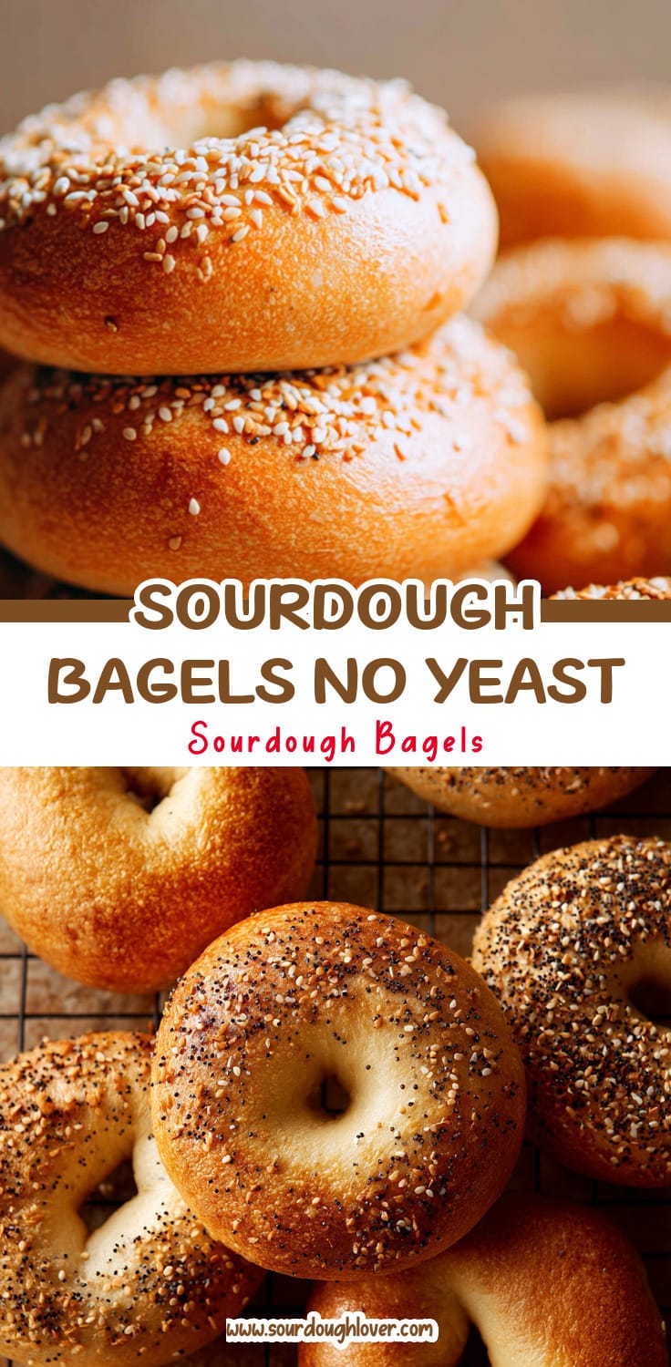 Easy Sourdough Discard Bagels (No Yeast)
