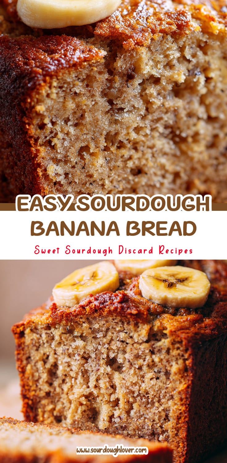 Easy Sourdough Discard Banana Bread Recipe (Pain Solver) 14 Easy Sourdough Discard Banana Bread Recipe (Pain Solver)