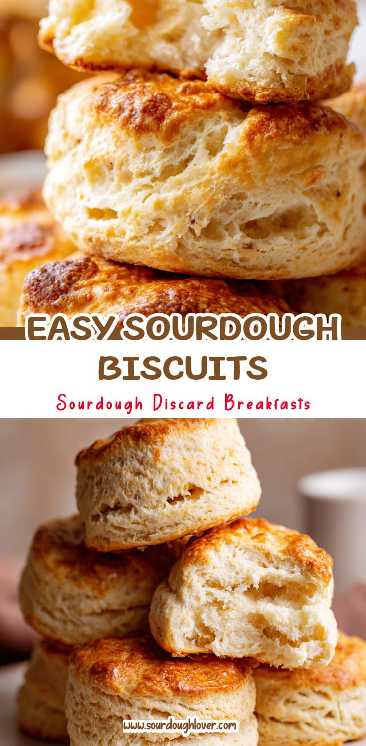 Sourdough Discard Breakfast Biscuits (Easy Recipe)