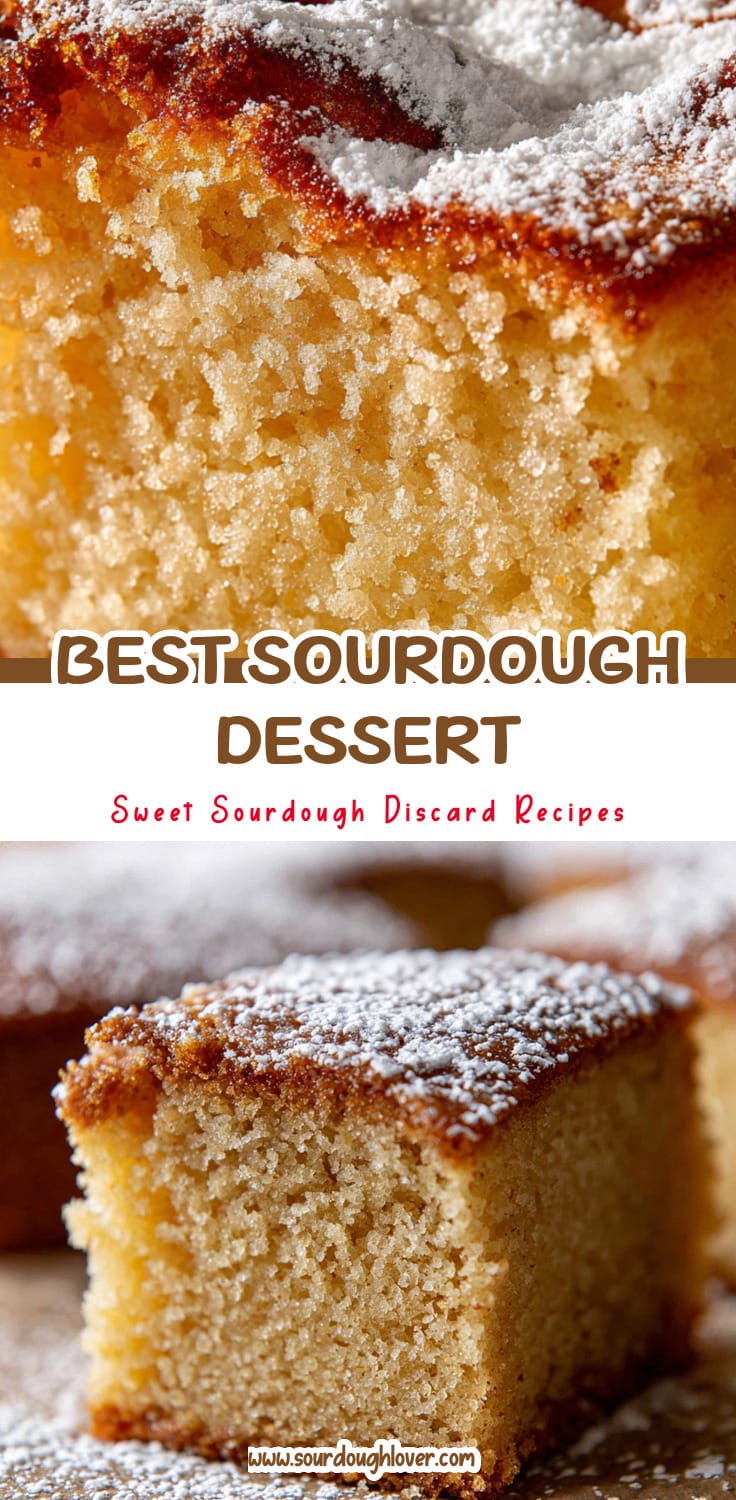 Sourdough Discard Snack Cake: Best Sourdough Dessert 14 Sourdough Discard Snack Cake: Best Sourdough Dessert