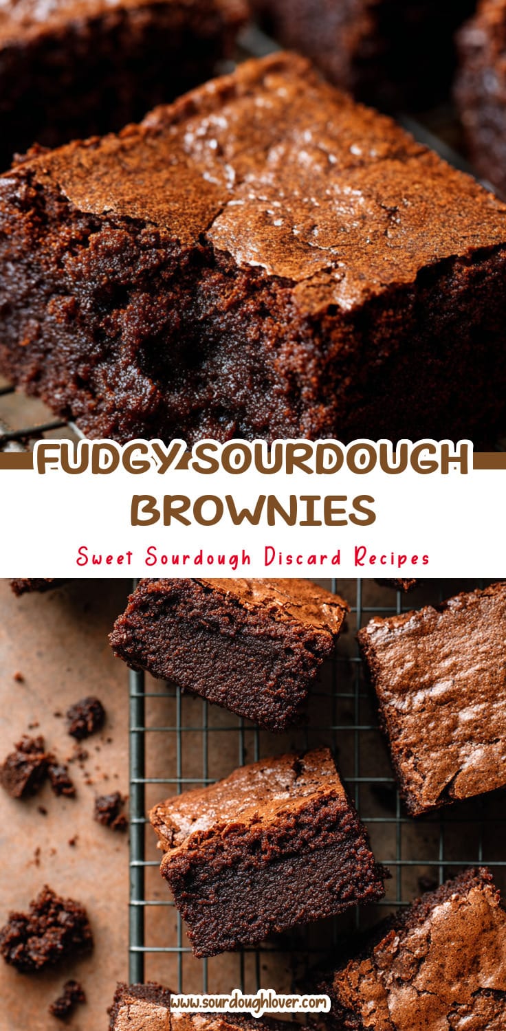 Easy Sourdough Discard Brownies That Are Fudgy & Delicious 14 Easy Sourdough Discard Brownies That Are Fudgy & Delicious