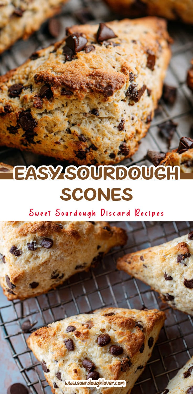 Sourdough Discard Chocolate Chip Scones (Easy Recipe) 14 Sourdough Discard Chocolate Chip Scones (Easy Recipe)