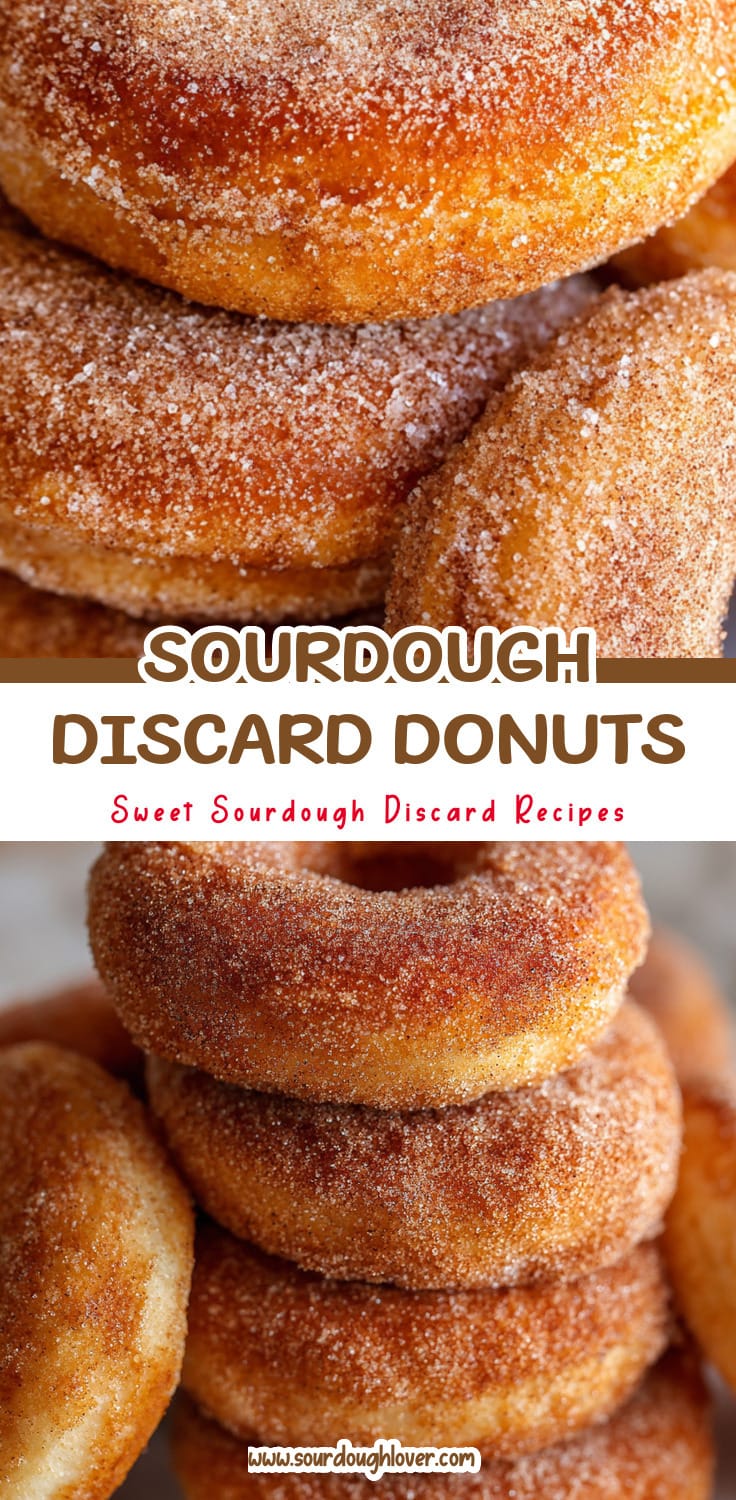 Sourdough Discard Cinnamon Sugar Donuts: Easy Breakfast Treat
