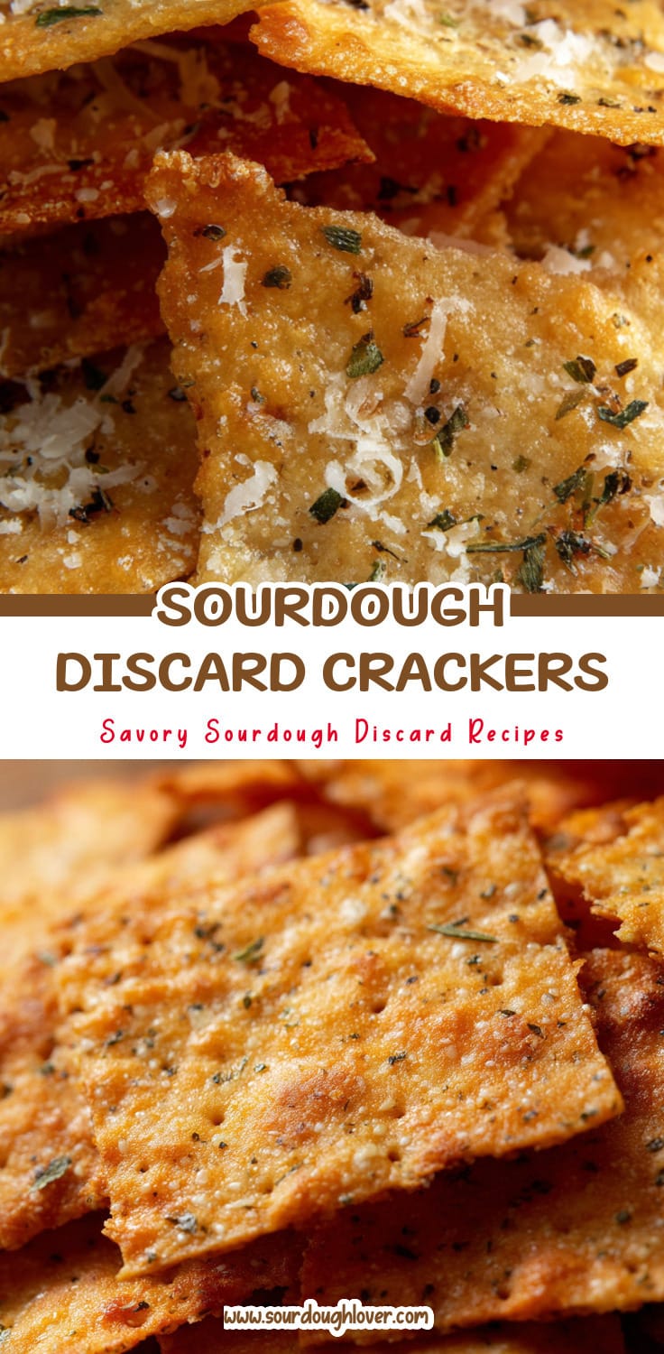 Sourdough Discard Crackers (Thin & Crispy) That Taste Like Cheezits