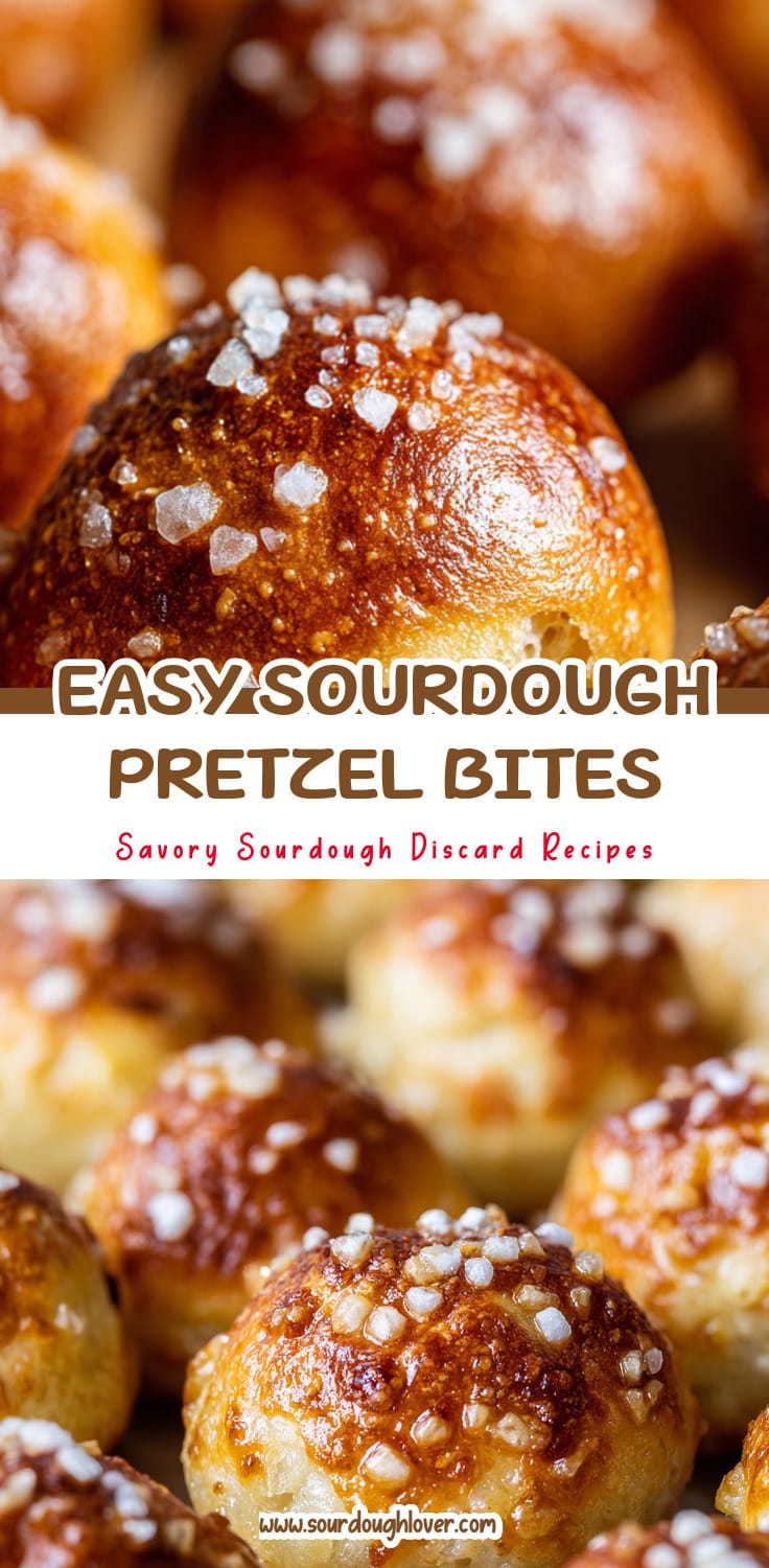 Easy Sourdough Discard Pretzel Bites Recipe for a Quick Snack