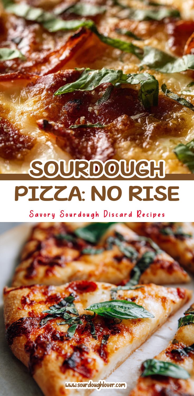 Easy Sourdough Discard Pizza Dough: No Rise Needed!