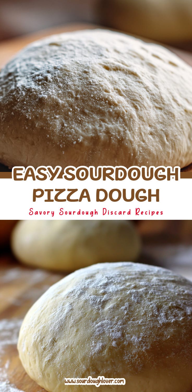 Sourdough Pizza Dough That's Easy to Make 14 Sourdough Pizza Dough That's Easy to Make