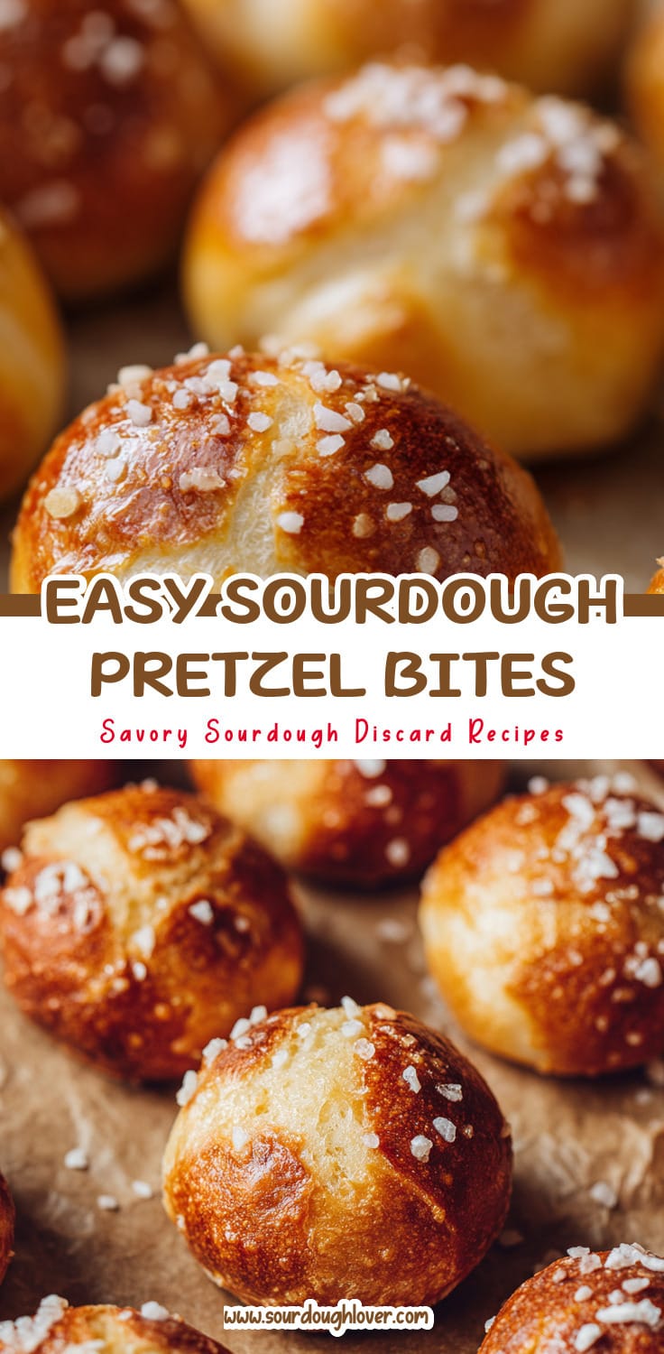 Sourdough Discard Pretzel Bites That Are Easy to Make