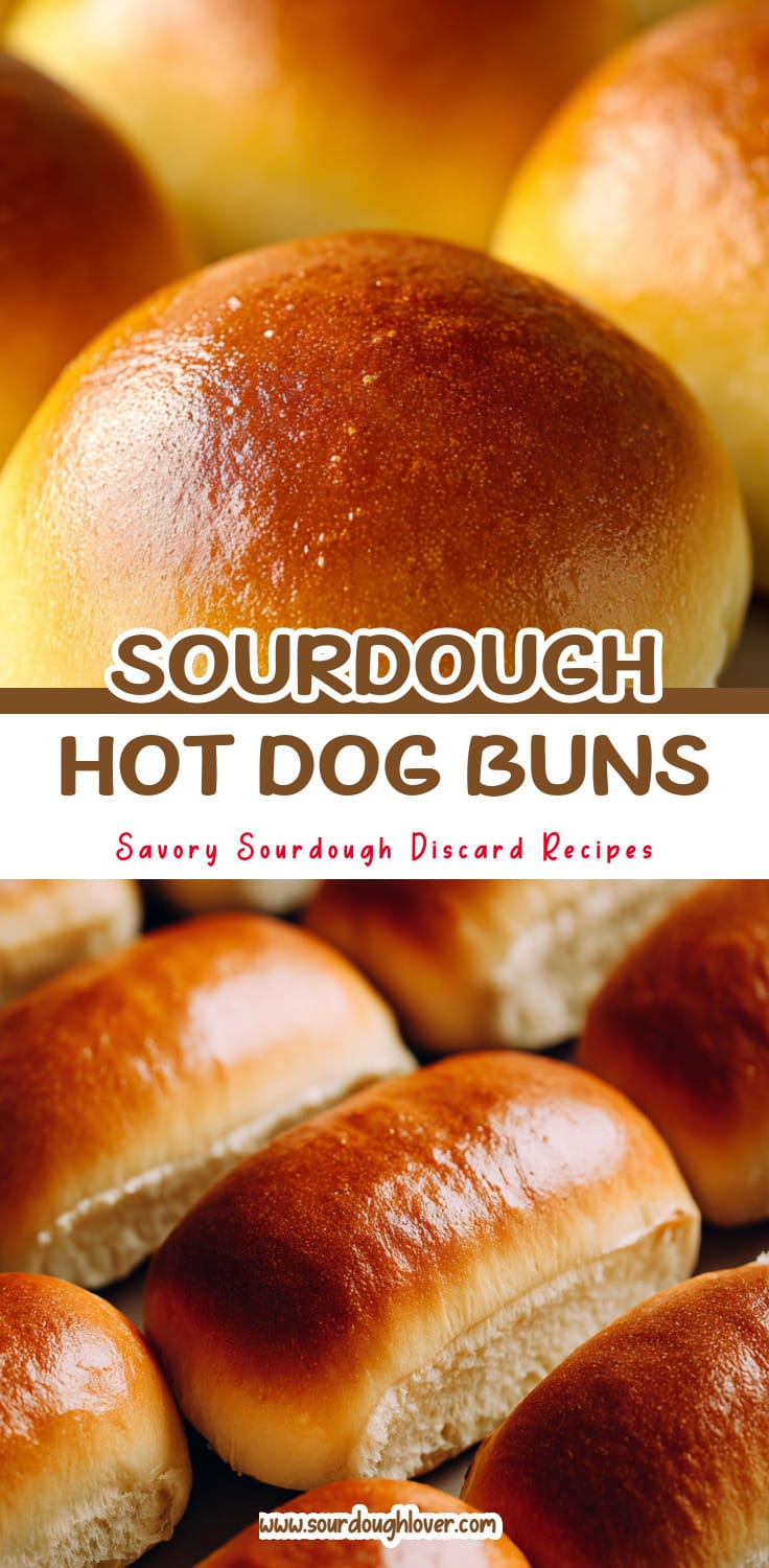 Soft Sourdough Discard Sandwich Buns for Hot Dogs