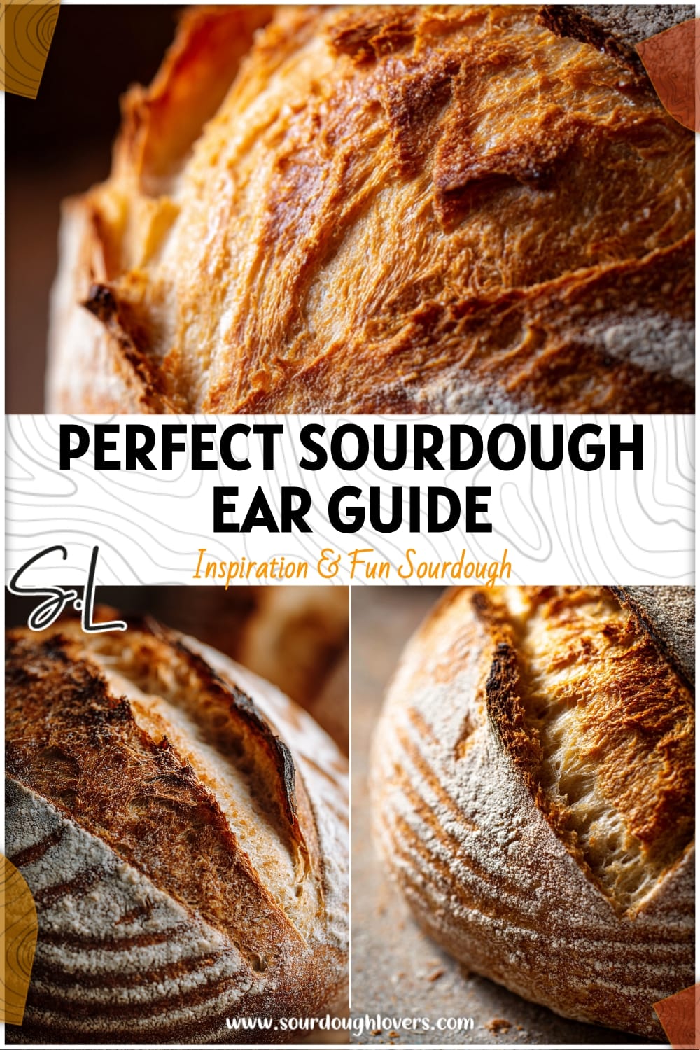 Sourdough Ear Formation Explained: Achieve the Perfect Artisan Loaf