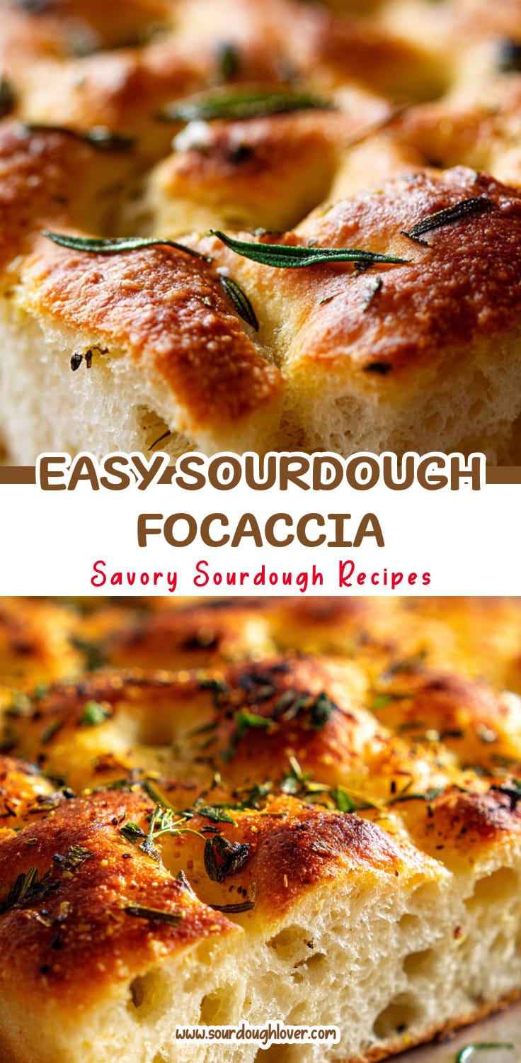 Easy Sourdough Focaccia Bread That Tastes Amazing 14 Easy Sourdough Focaccia Bread That Tastes Amazing
