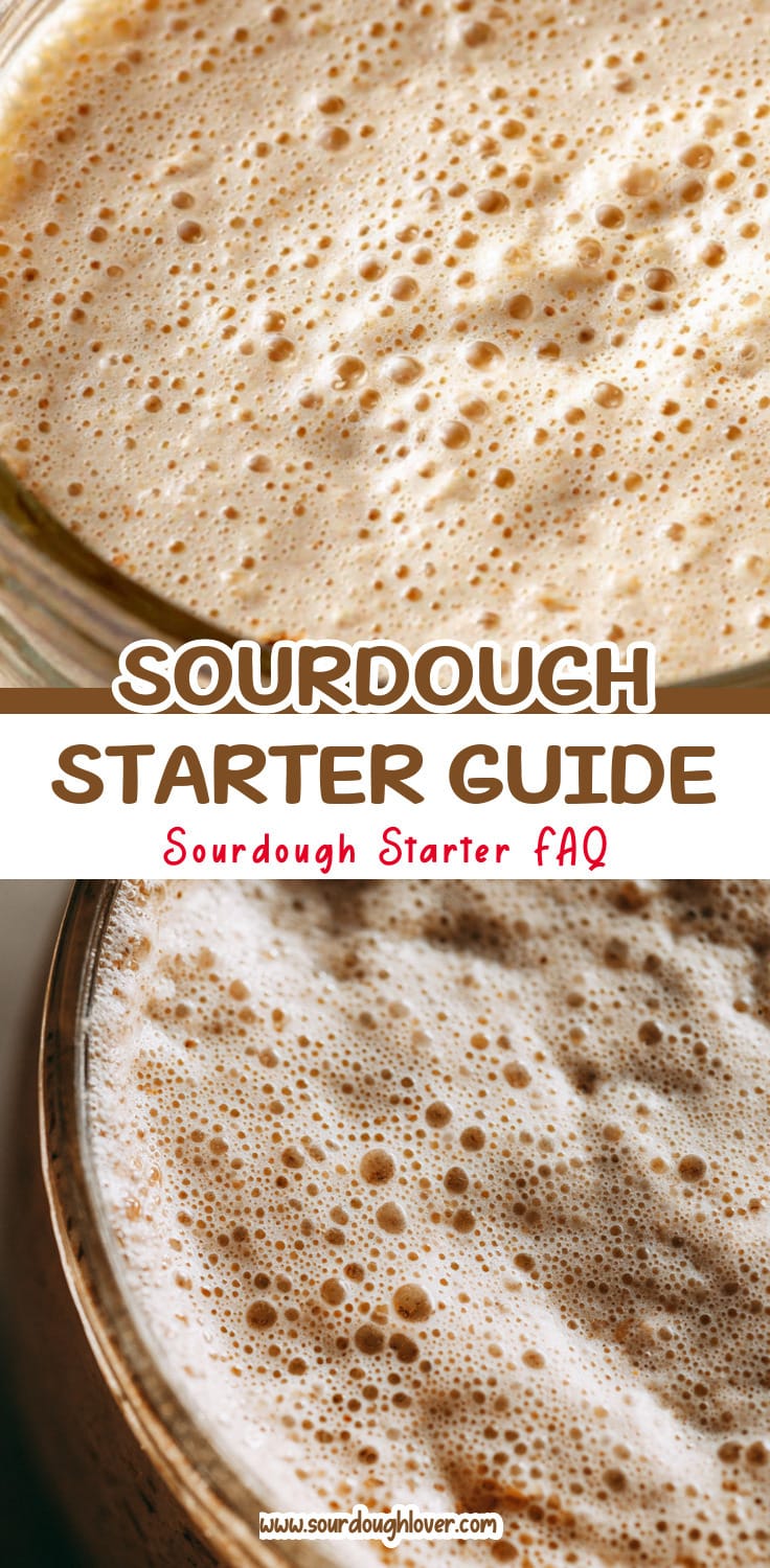 How to Make Sourdough Starter for Beginners