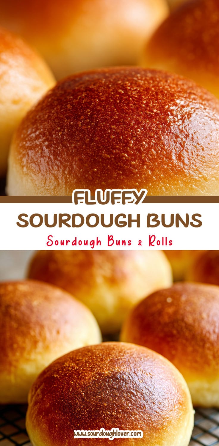 Easy Sourdough Discard Hamburger Buns That Are So Fluffy