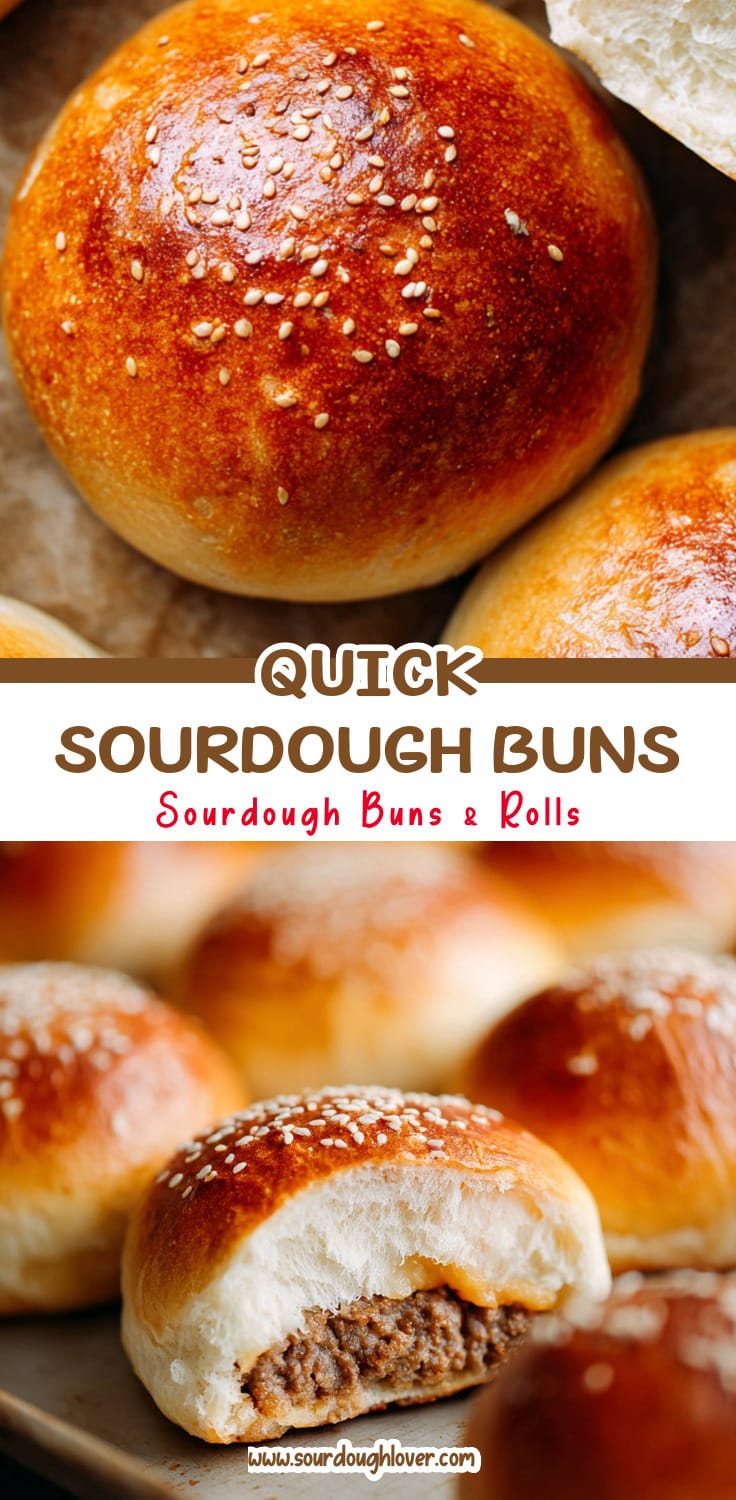 Sourdough Discard Hamburger Buns (Quick & Easy Recipe)
