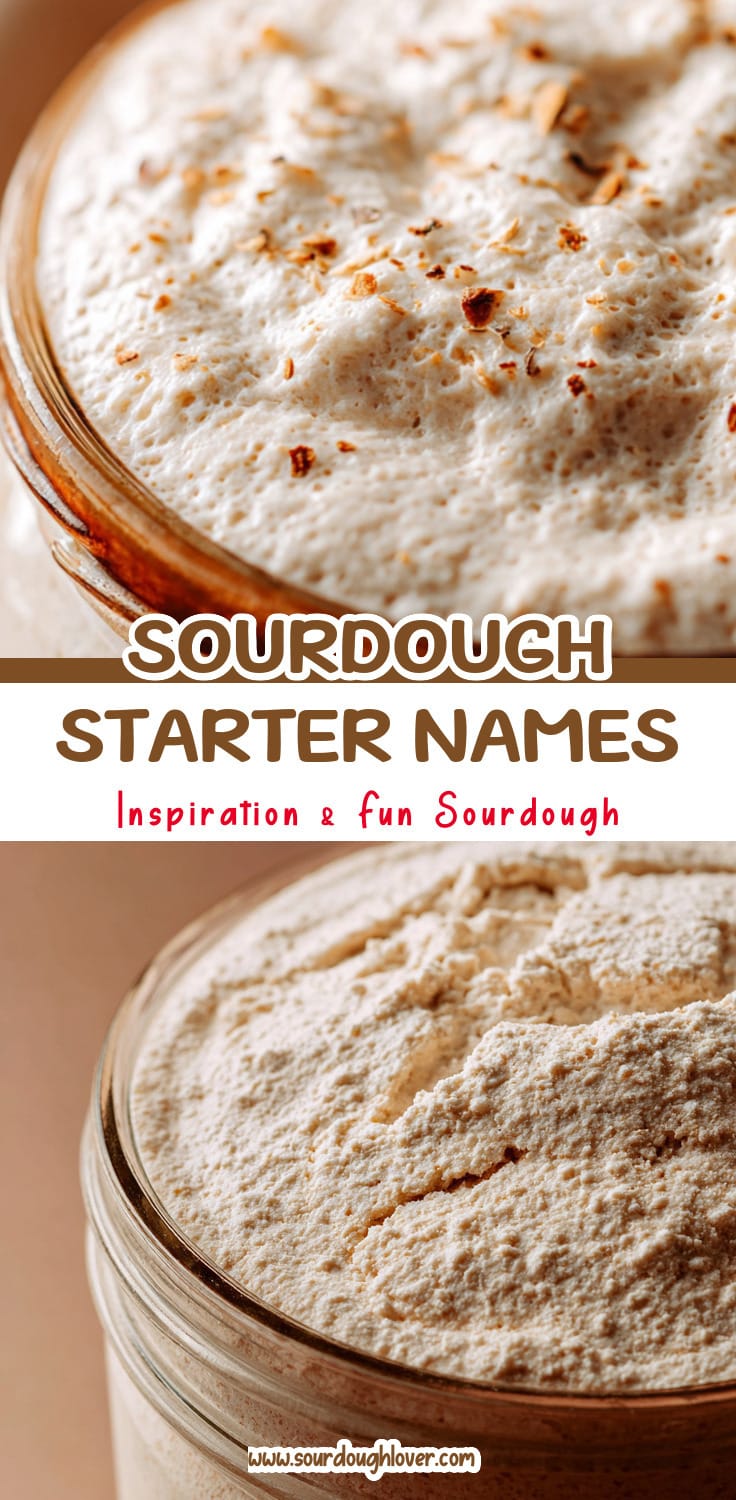Sourdough Starter Names: Fun Ideas for Your Peaked Sourdough Starter 14 Sourdough Starter Names: Fun Ideas for Your Peaked Sourdough Starter