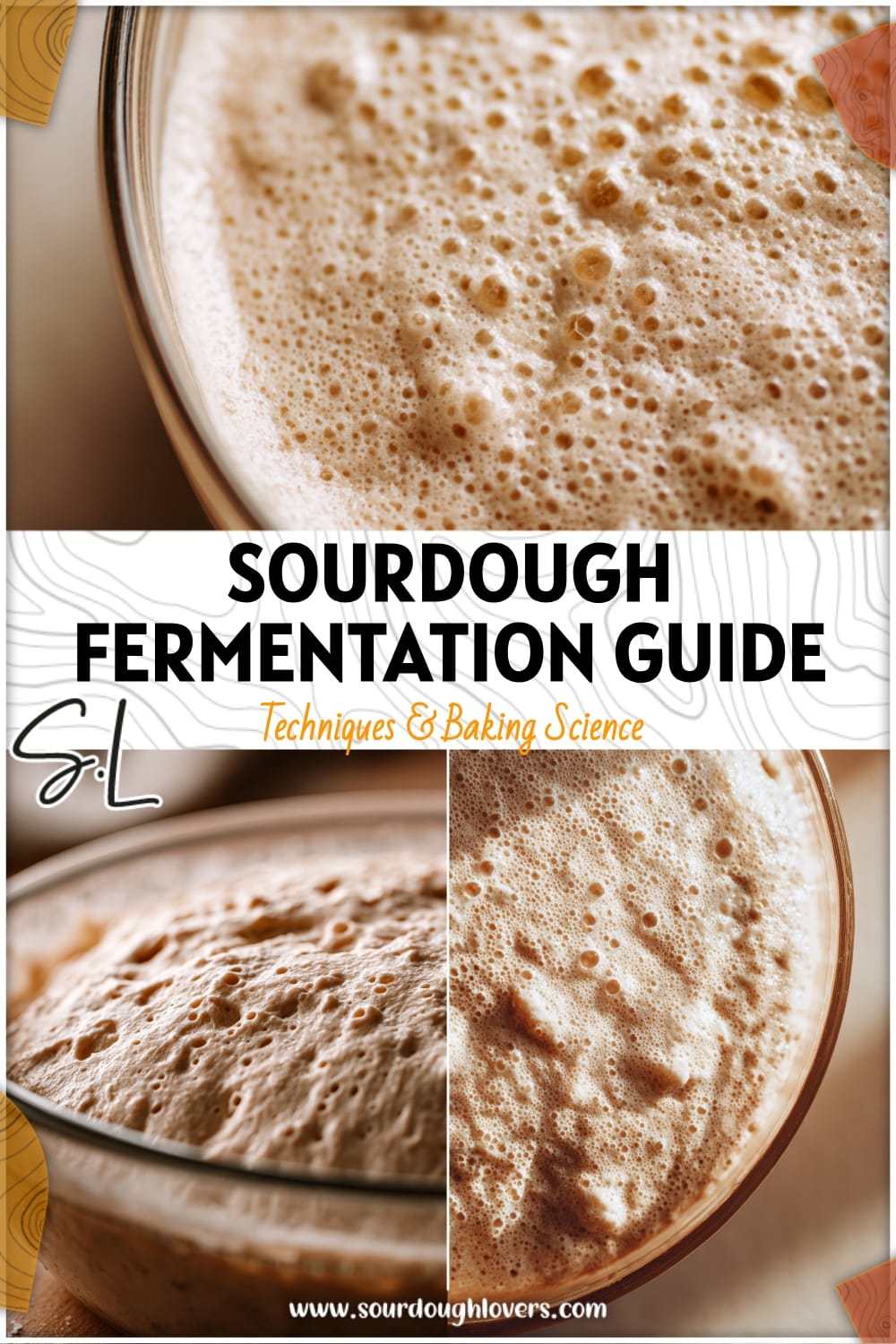 Sourdough Fermentation: How to Know When Your Dough Is Ready