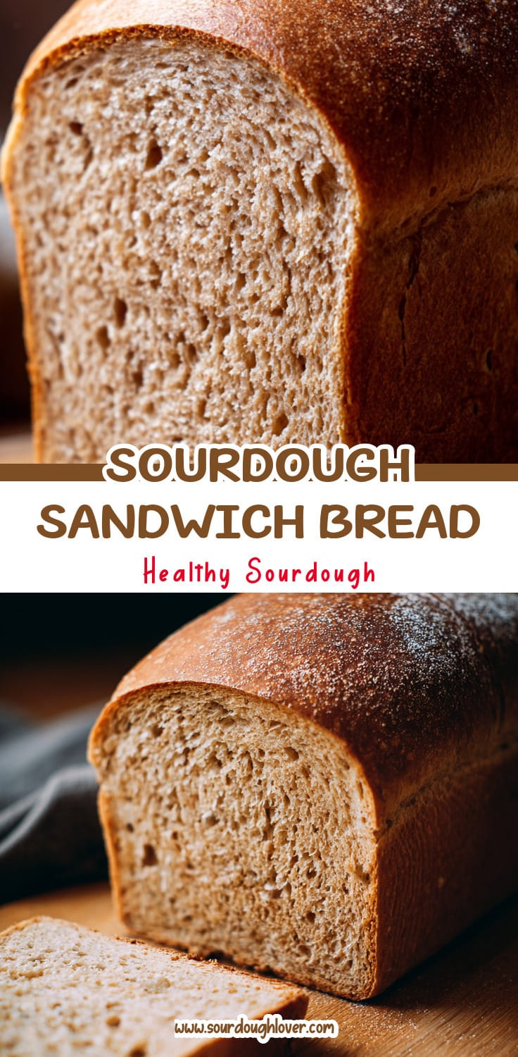Whole Wheat Sourdough Sandwich Bread for Delicious Lunch Bread