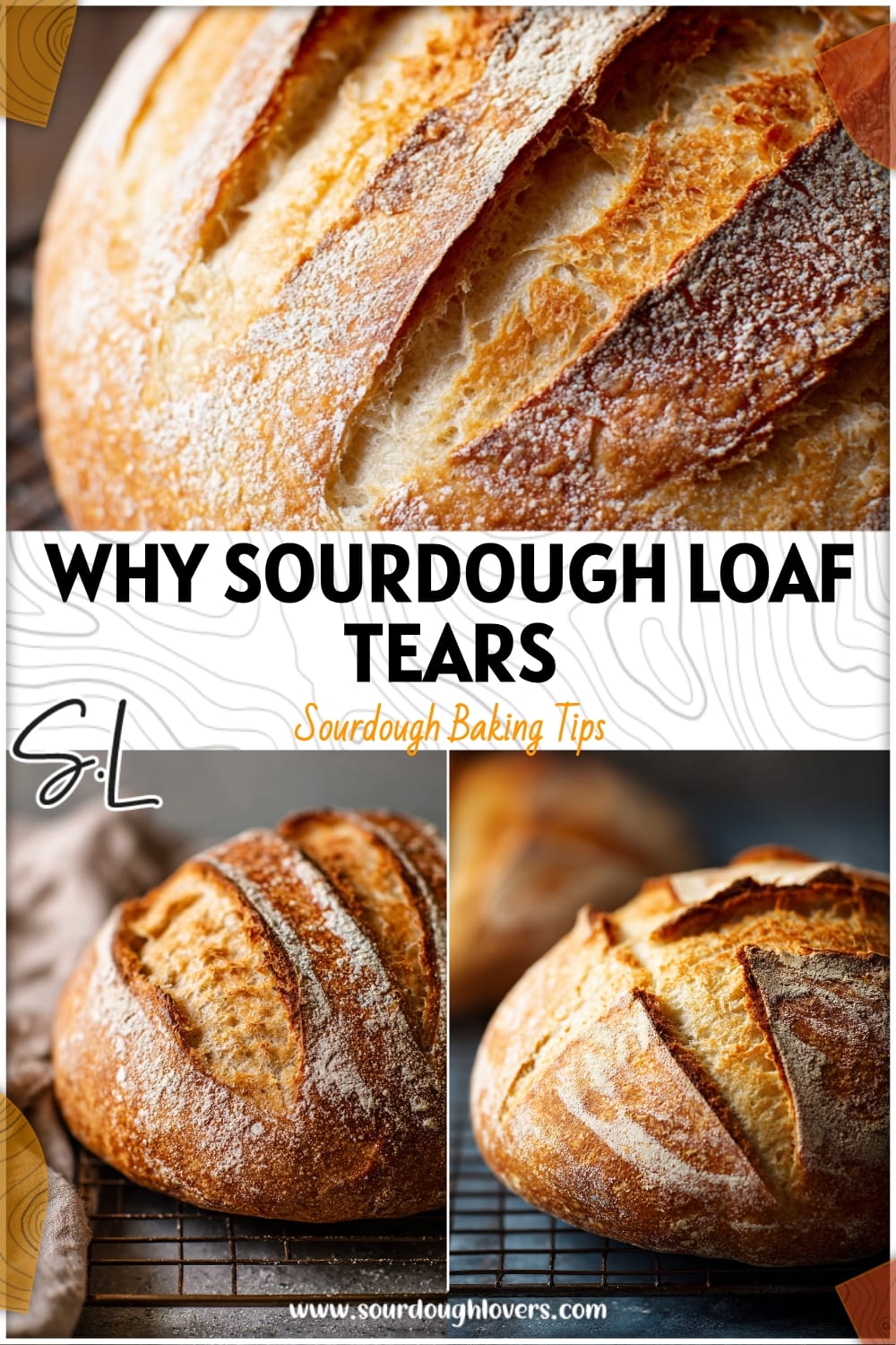 Sourdough Bread Tips: Why Your Loaf Tears on Top