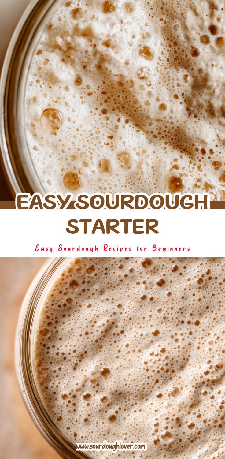 Beginner Sourdough Starter: Easy Step-by-Step Guide