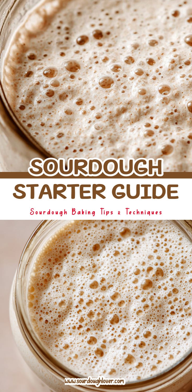 Beginner Sourdough Starter Guide: How To Start Sourdough Starter Easy