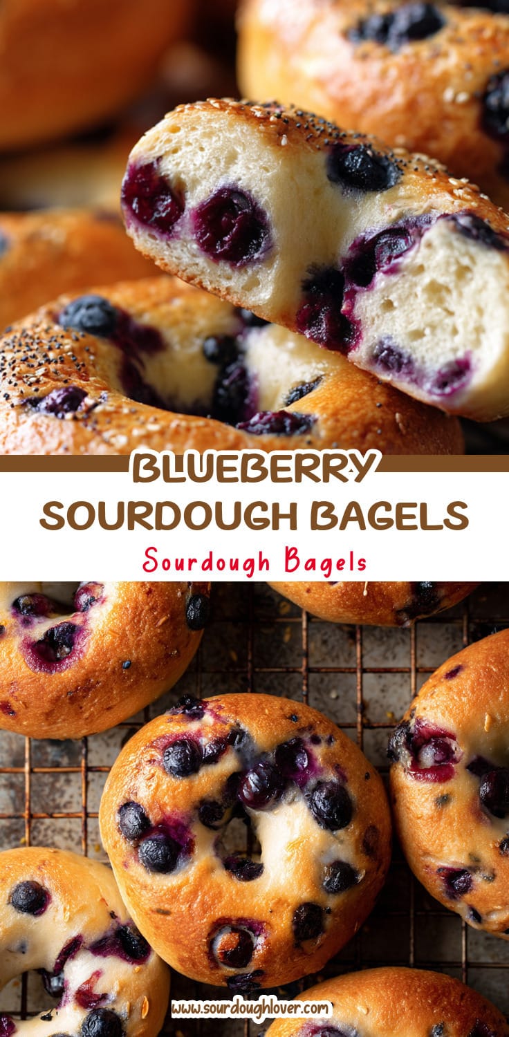 Homemade Blueberry Lemon Sourdough Bagels (Outcome)