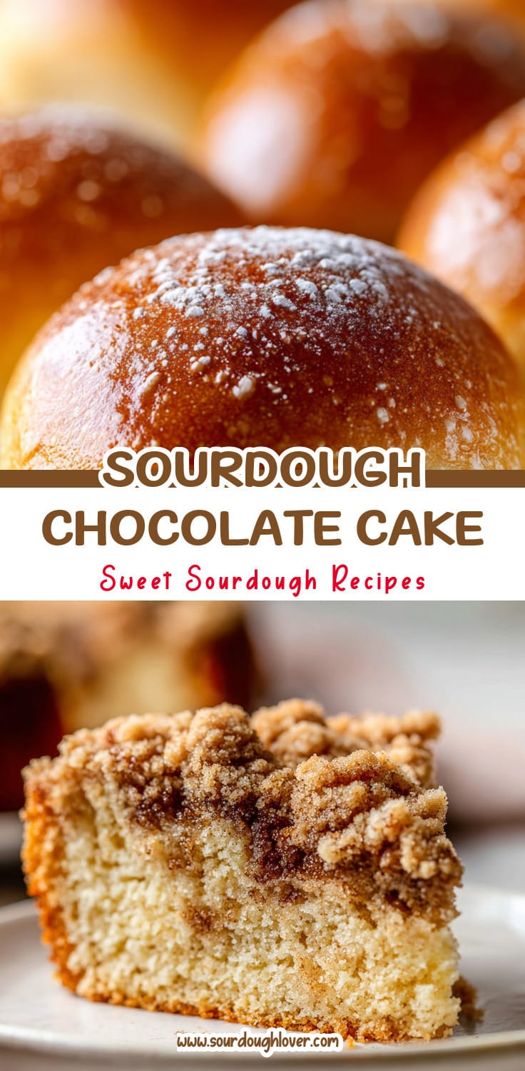Easy Sourdough Discard Chocolate Cake (Same Day Recipe) 14 Easy Sourdough Discard Chocolate Cake (Same Day Recipe)