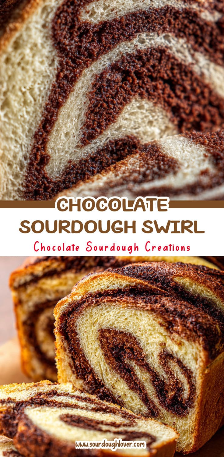 Chocolate Sourdough Swirl Bread Recipe