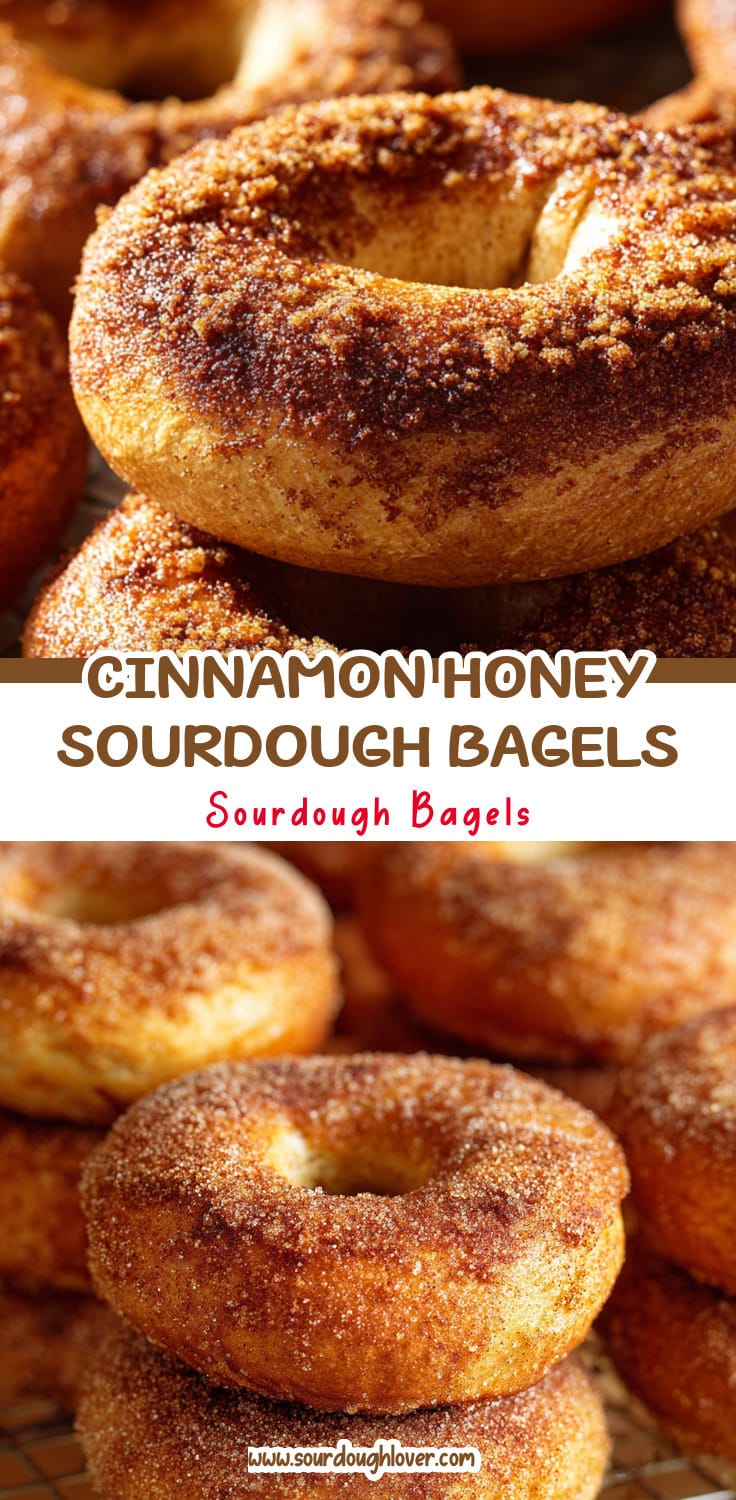 Cinnamon Honey Sourdough Bagels: Your New Favorite Breakfast Treat