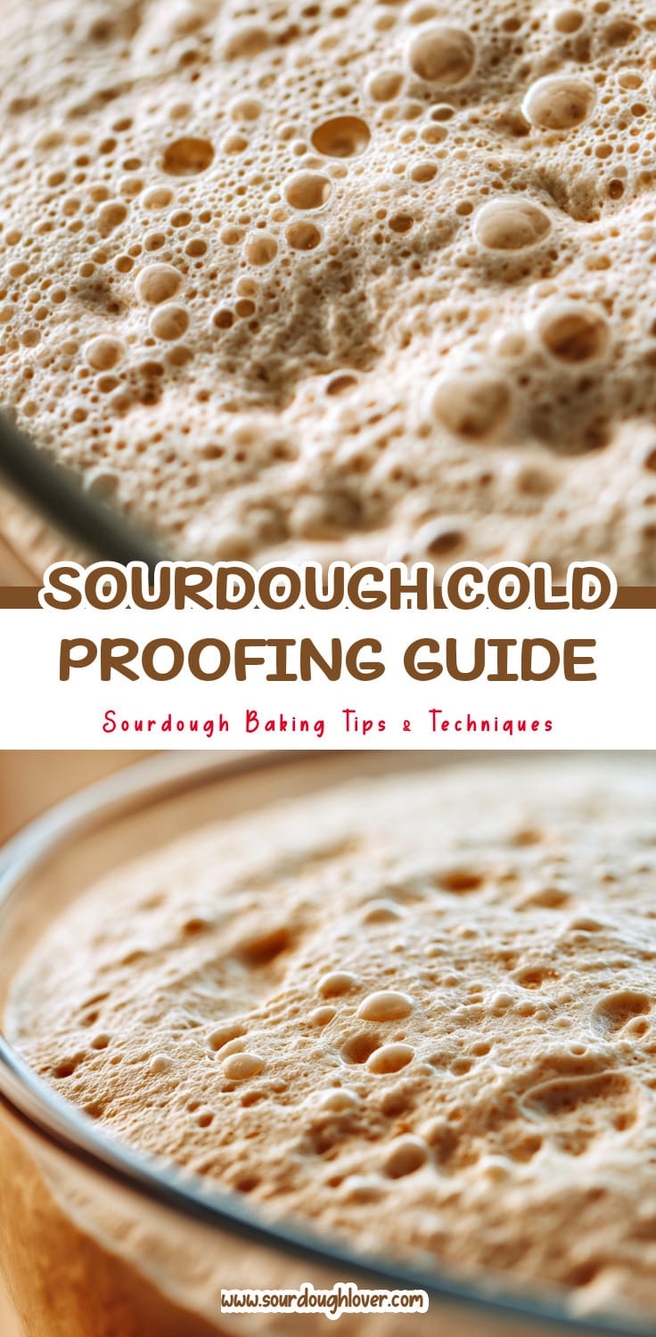 Sourdough Bulk Fermentation: How Long to Cold Proof Sourdough