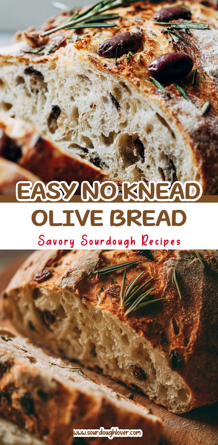 Easy No Knead Olive Bread Recipe for Beginners