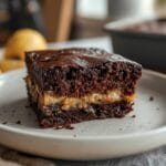 Easy Sourdough Discard Chocolate Cake (Same Day Recipe) 12 =