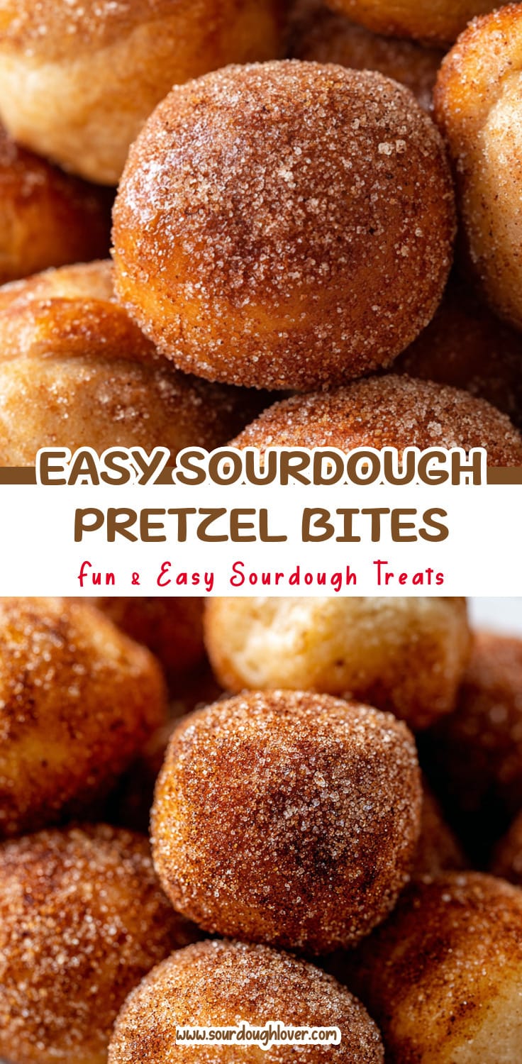 Sourdough Cinnamon Sugar Pretzel Bites That Are Easy to Make