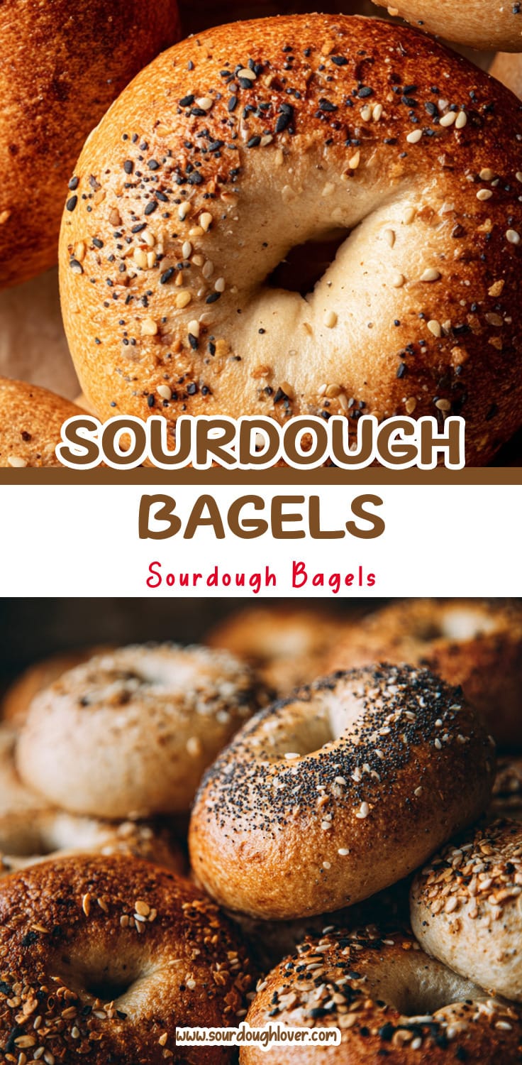Easy Sourdough Discard Bagels (No Yeast)