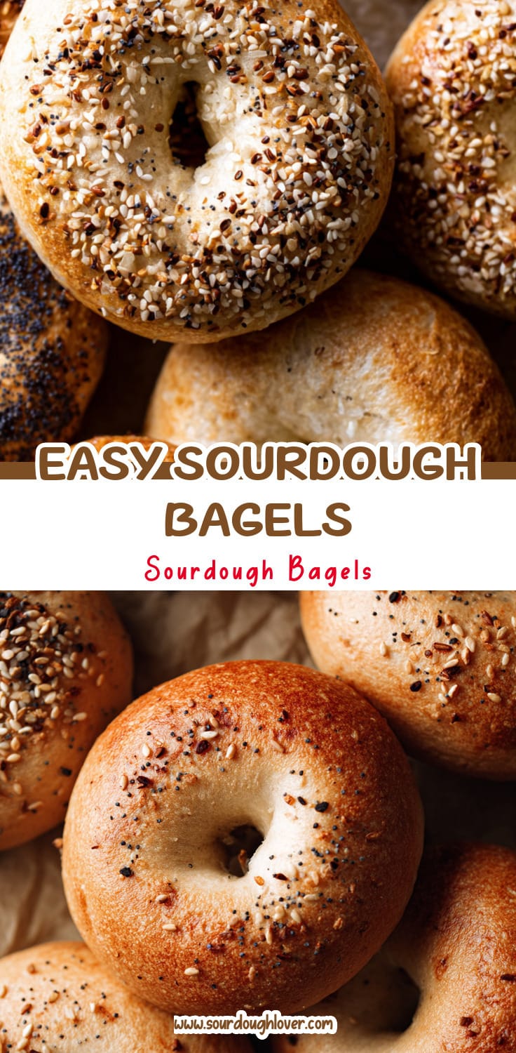 Easy Overnight Sourdough Discard Bagels (No Yeast)