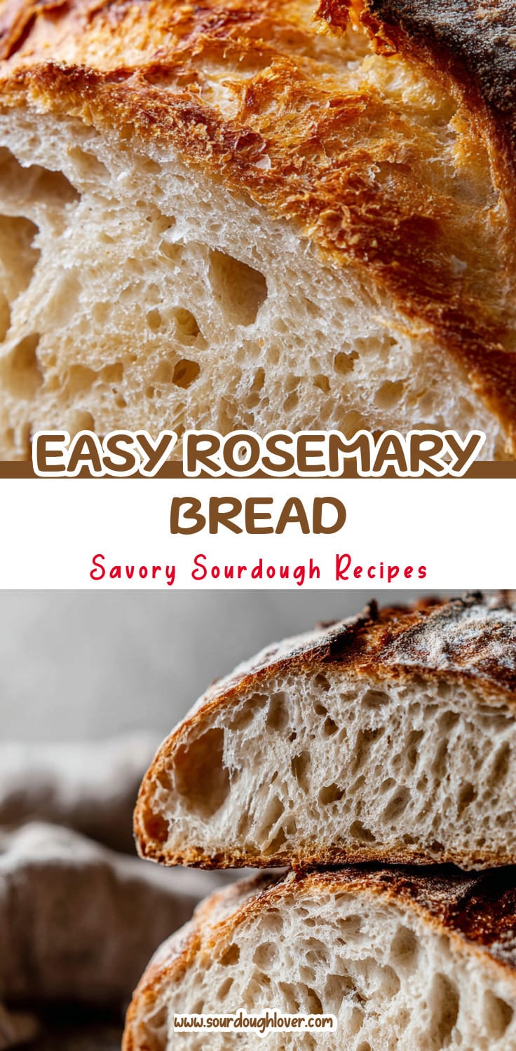 Easy No-Knead Rosemary Bread Recipe for Homemade Sourdough 14 Easy No-Knead Rosemary Bread Recipe for Homemade Sourdough