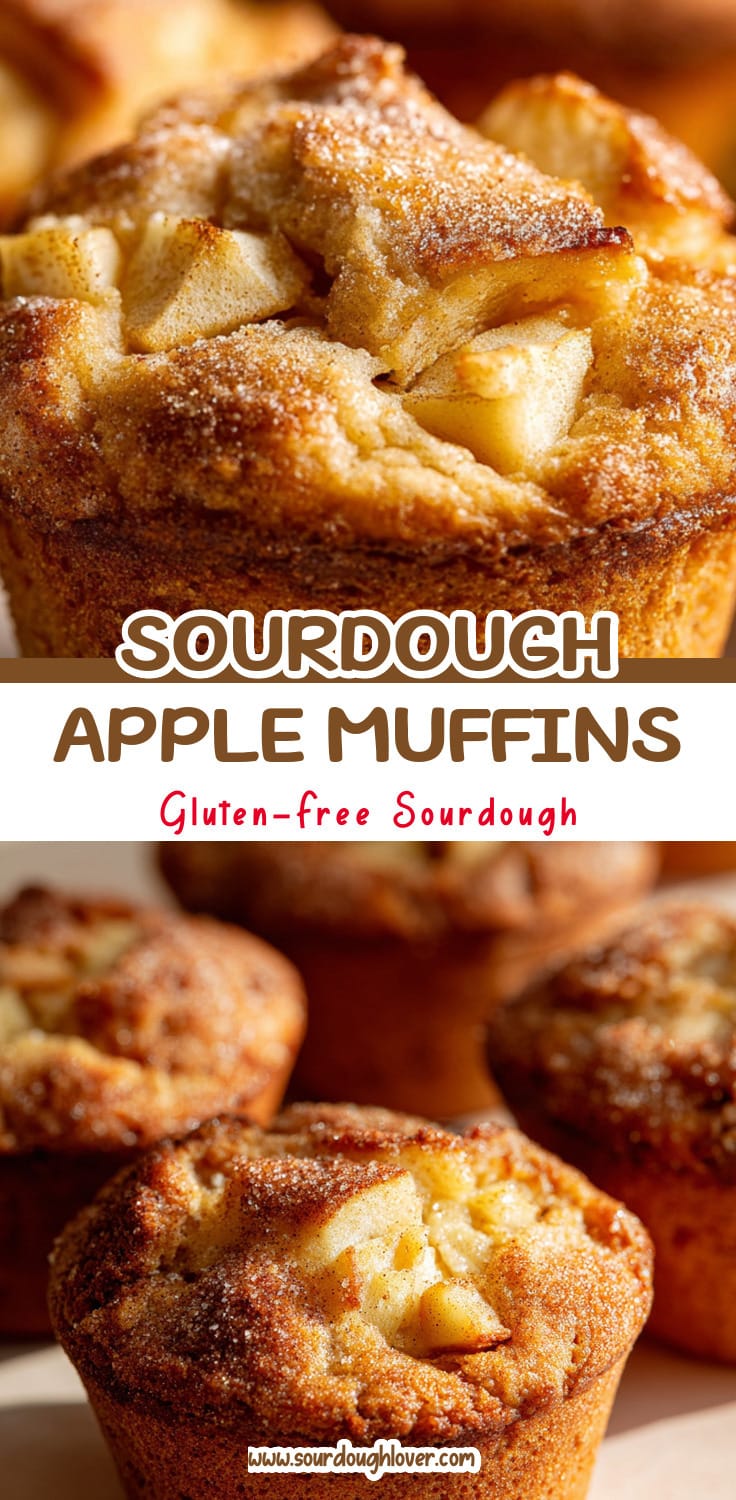 Sourdough Apple Muffins (Quick Discard Recipe)