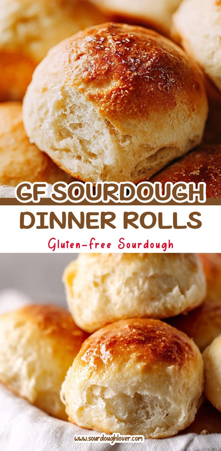 Gluten-Free Sourdough Dinner Rolls (Pain Solver)